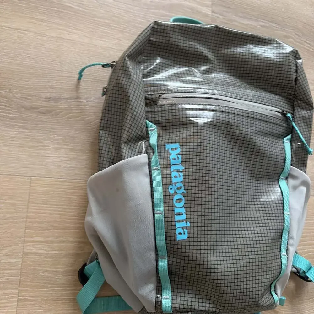 Patagonia Lightweight Black Hole 26L Gray /Green